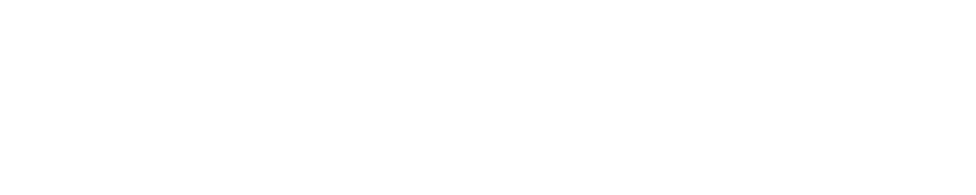 ENAP Logo
